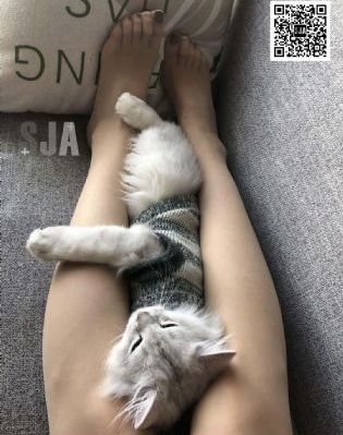 先锋影音人妻啪啪va资源网站-手机影院欧美电影在线